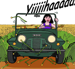 ydrolina.net, sidan 13.....