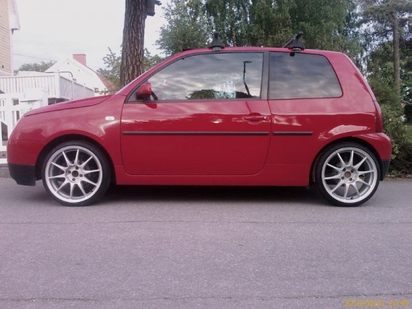 Lupo på 17&quot;
