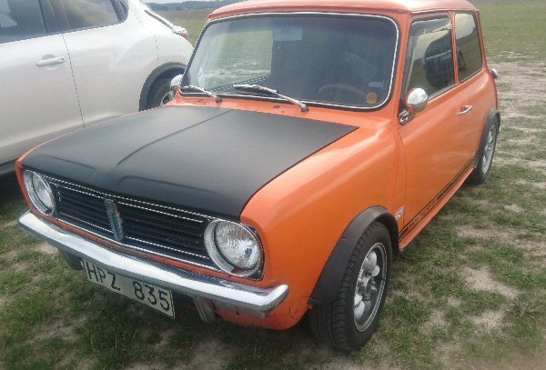 Ulva orange
