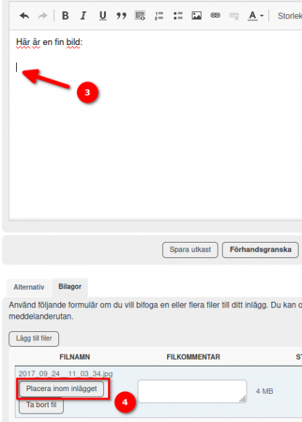 placera.png