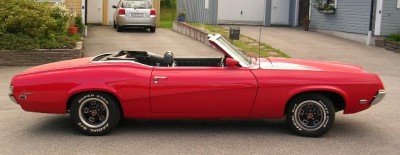 Cougar 003.jpg