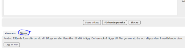 Skärmklipp.PNG