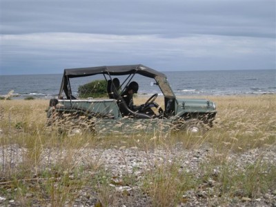 Afrikansk Moke på Gotland
